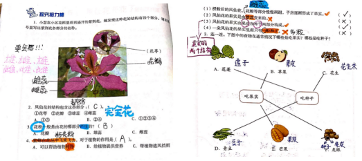 一肖一码一一肖一子深圳,科学研究解析说明_旗舰版58.578