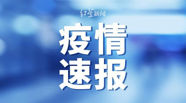 香港最准一肖100免费,数据引导策略解析_SP12.813