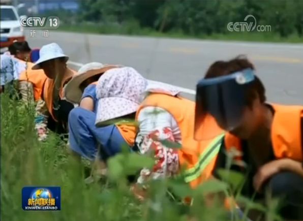 黑峪村委会最新动态报道